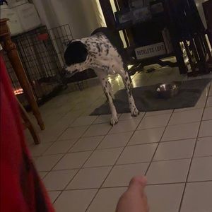 Meet your Posher, Abigail